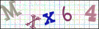 Image Verification