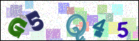 Image Verification