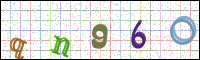 Image Verification