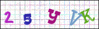 Image Verification