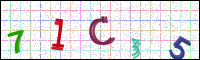 Image Verification