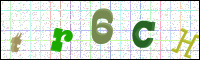 Image Verification