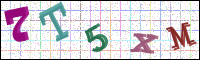 Image Verification