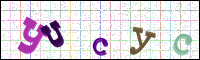 Image Verification