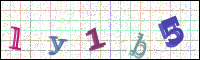 Image Verification