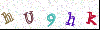 Image Verification