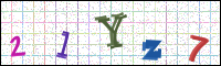 Image Verification