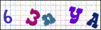 Image Verification