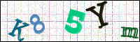 Image Verification