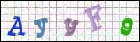 Image Verification
