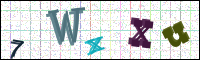 Image Verification