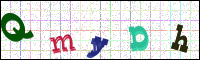 Image Verification