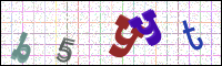 Image Verification
