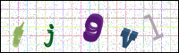 Image Verification