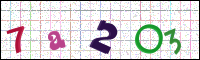 Image Verification