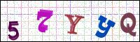 Image Verification