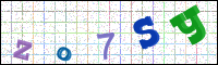Image Verification