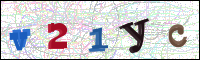 Image Verification