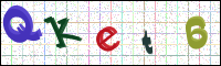 Image Verification