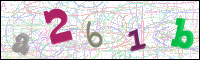 Image Verification