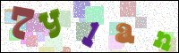 Image Verification