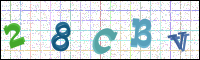 Image Verification