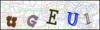 Image Verification