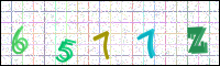 Image Verification