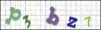 Image Verification