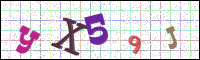 Image Verification