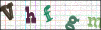 Image Verification