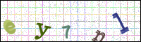 Image Verification