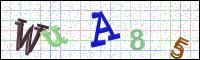 Image Verification