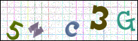 Image Verification