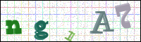 Image Verification