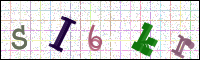 Image Verification
