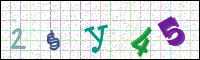 Image Verification