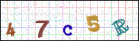 Image Verification