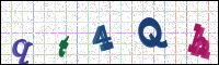 Image Verification