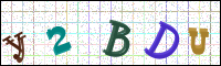 Image Verification