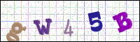 Image Verification