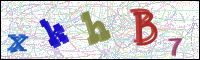 Image Verification