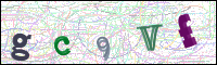Image Verification