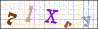 Image Verification