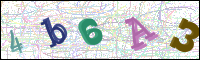 Image Verification