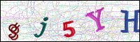 Image Verification