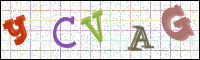 Image Verification