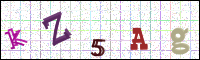 Image Verification