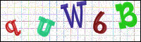 Image Verification
