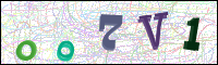 Image Verification